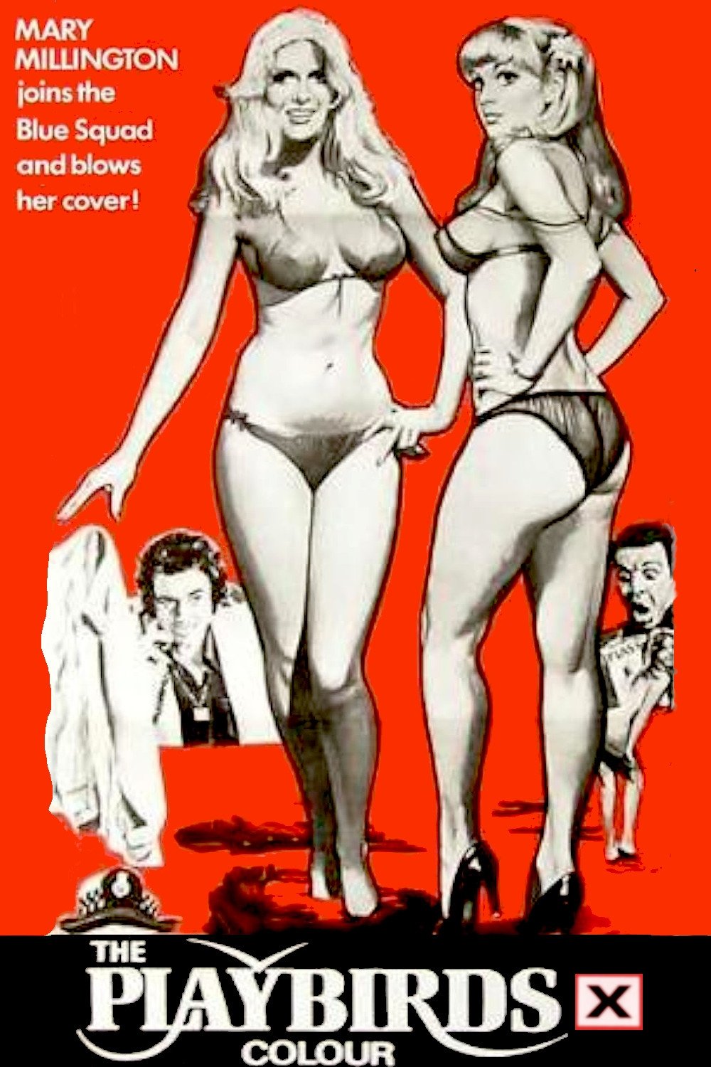 The Playbirds