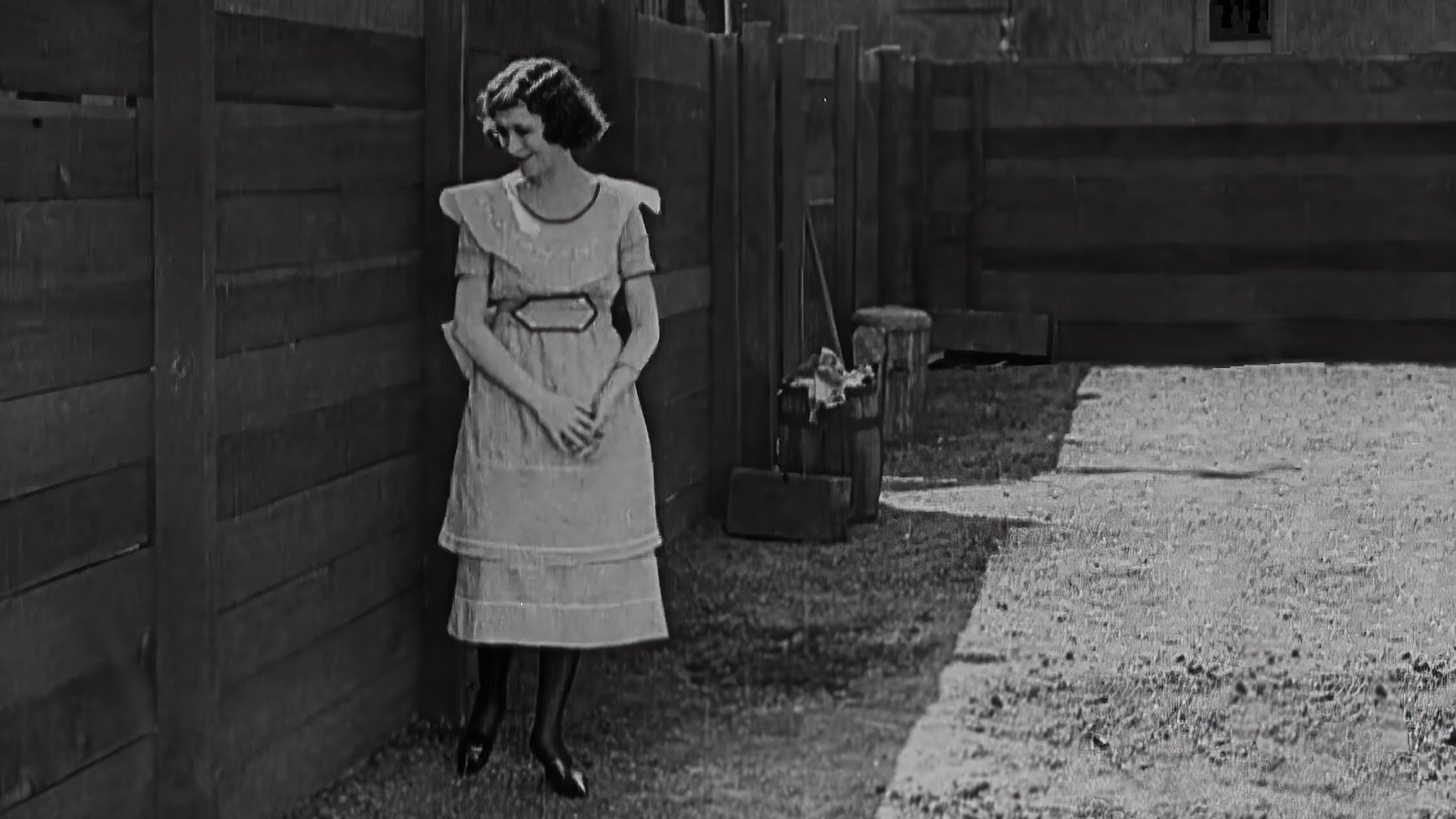 Neighbors (1920)