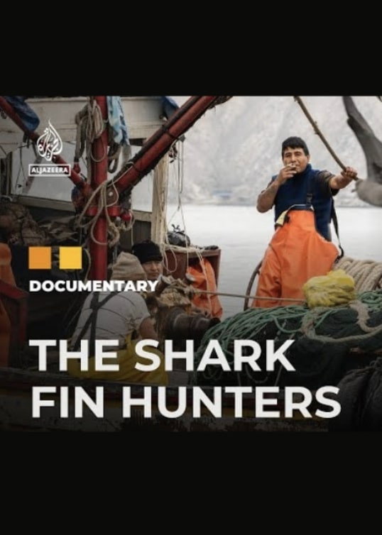 The Shark Fin Hunters