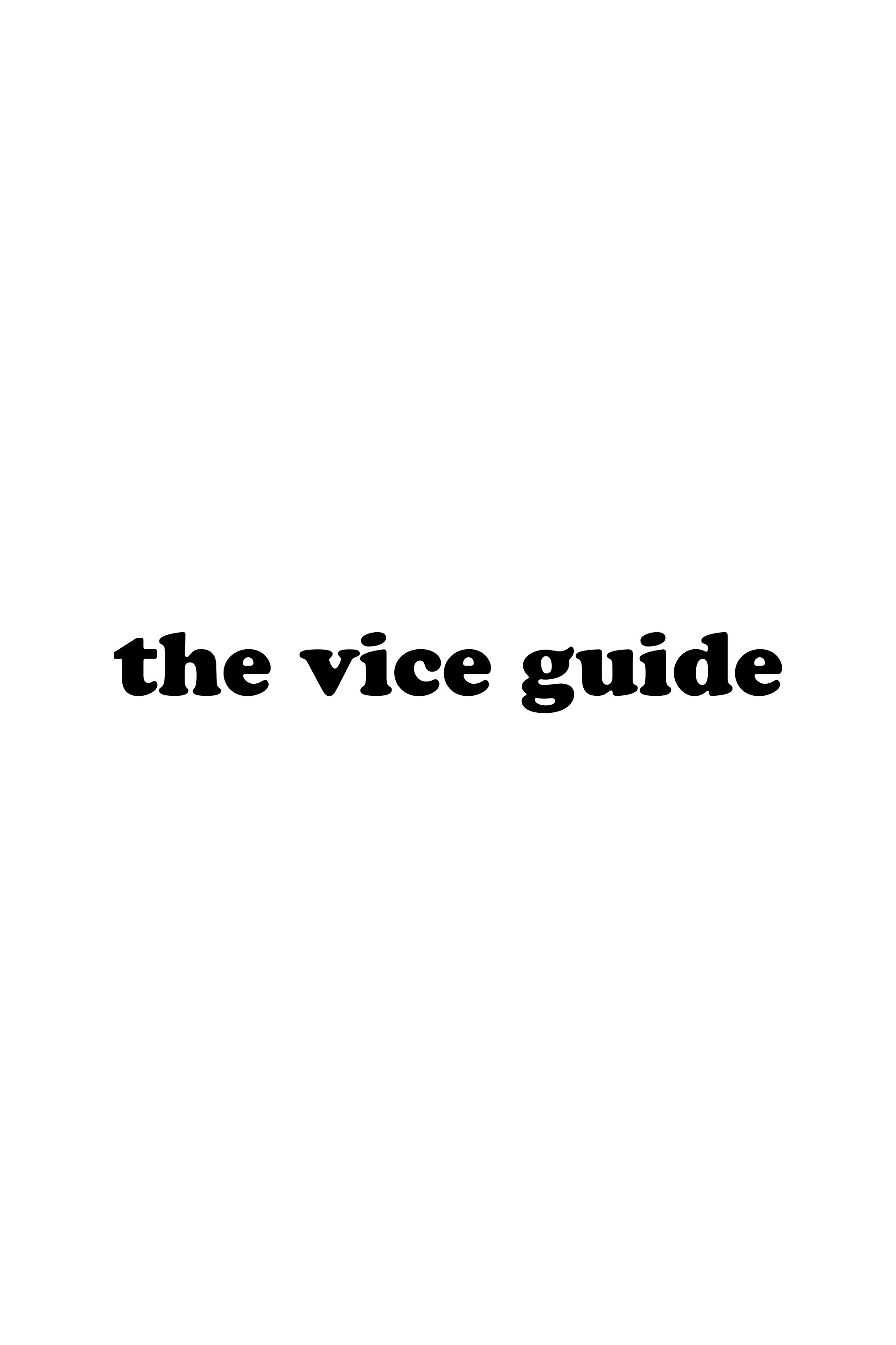 poster movie The Vice Guide
