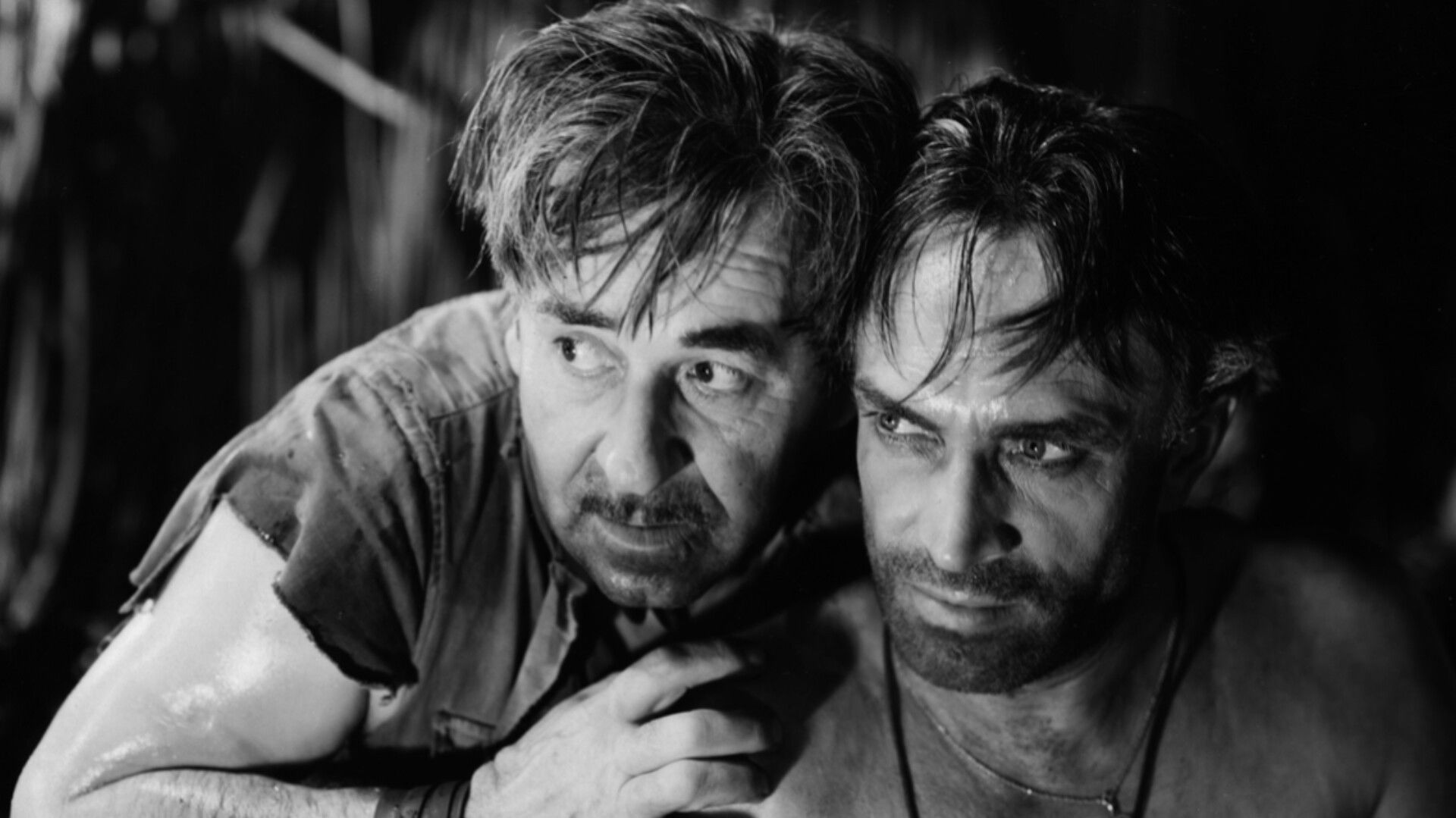 King of the Damned backdrop image