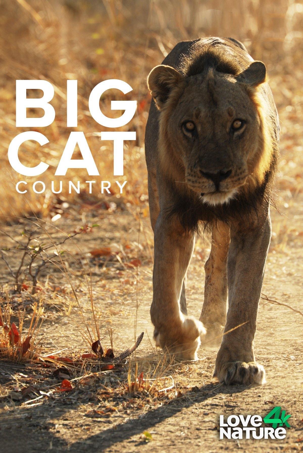 Big Cat Country - Season 1