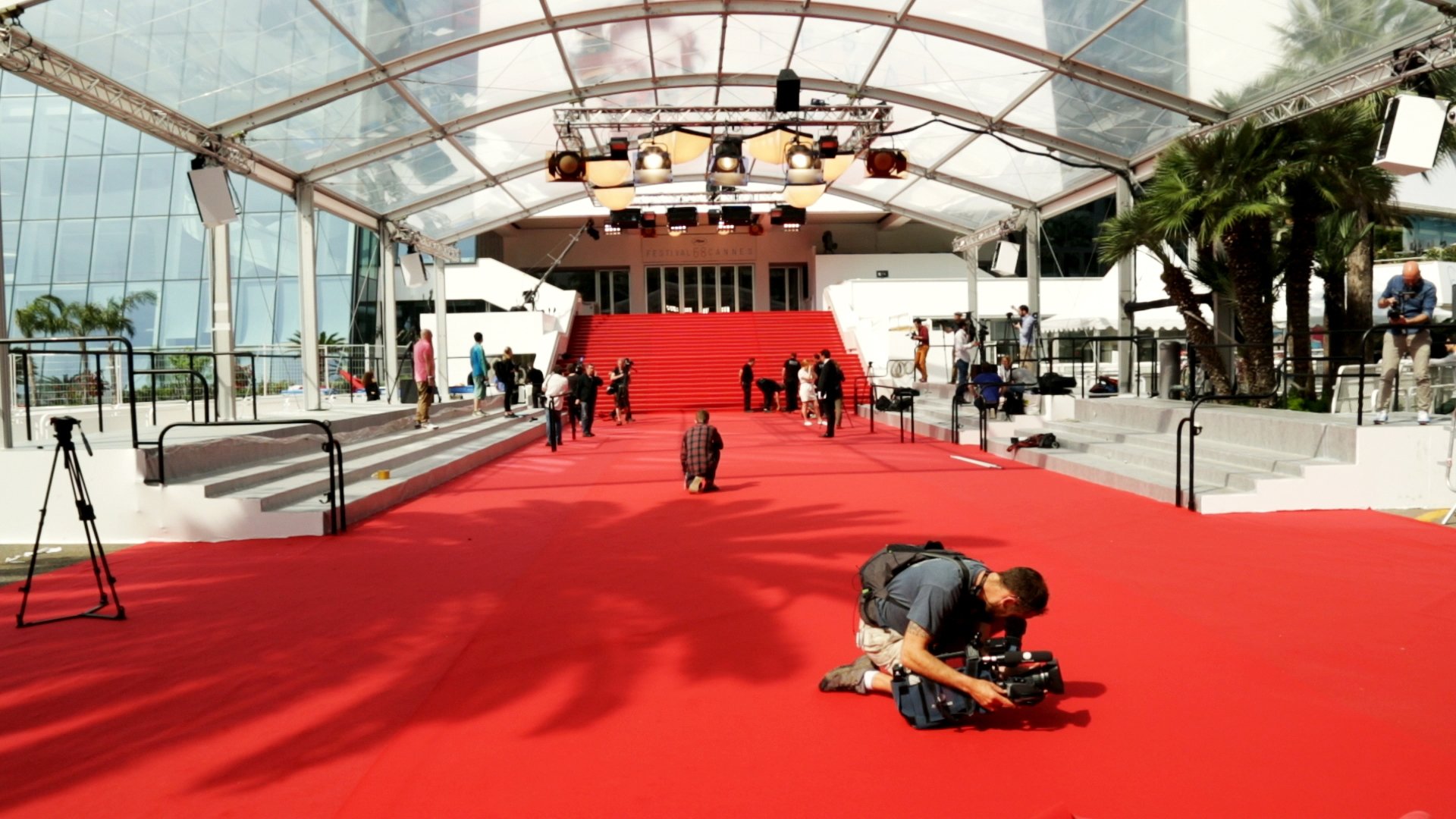 Image du film Le Goût du tapis rouge dqszsggnmqntlfpurziytebf395jpg