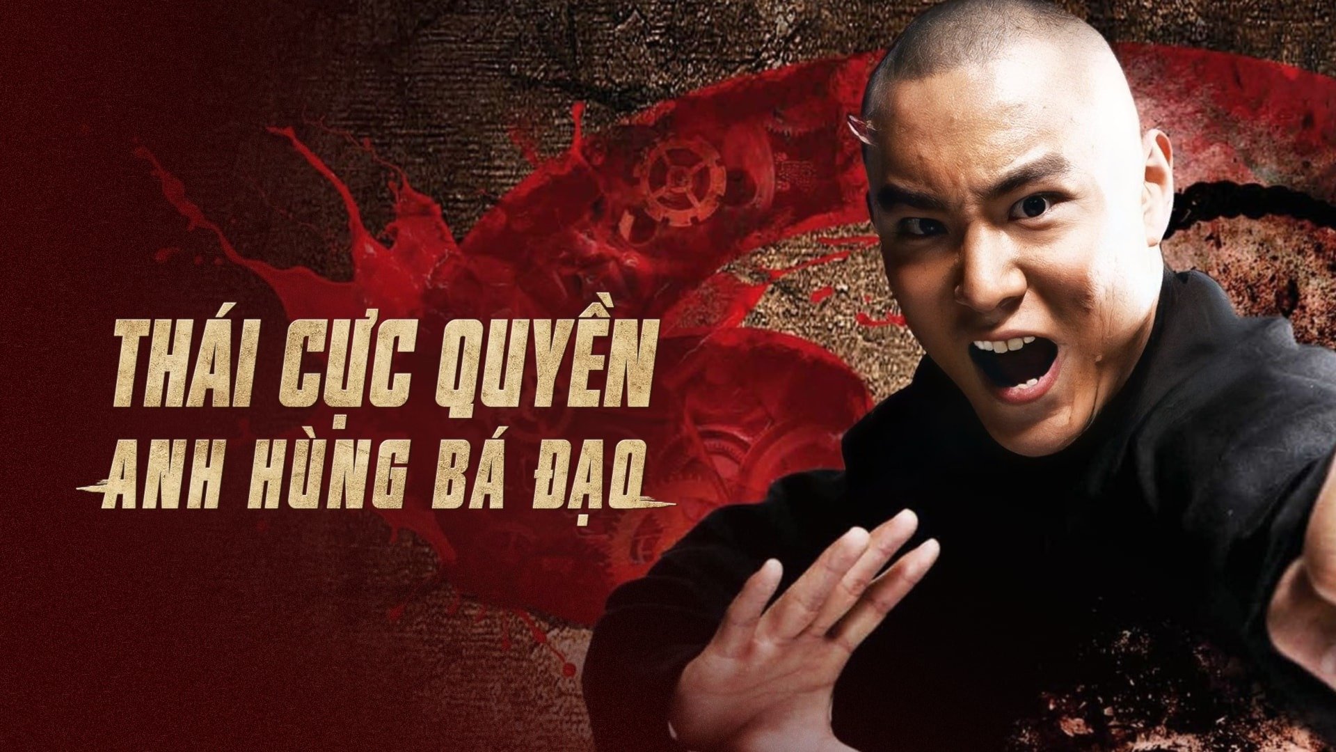 Tai Chi Hero