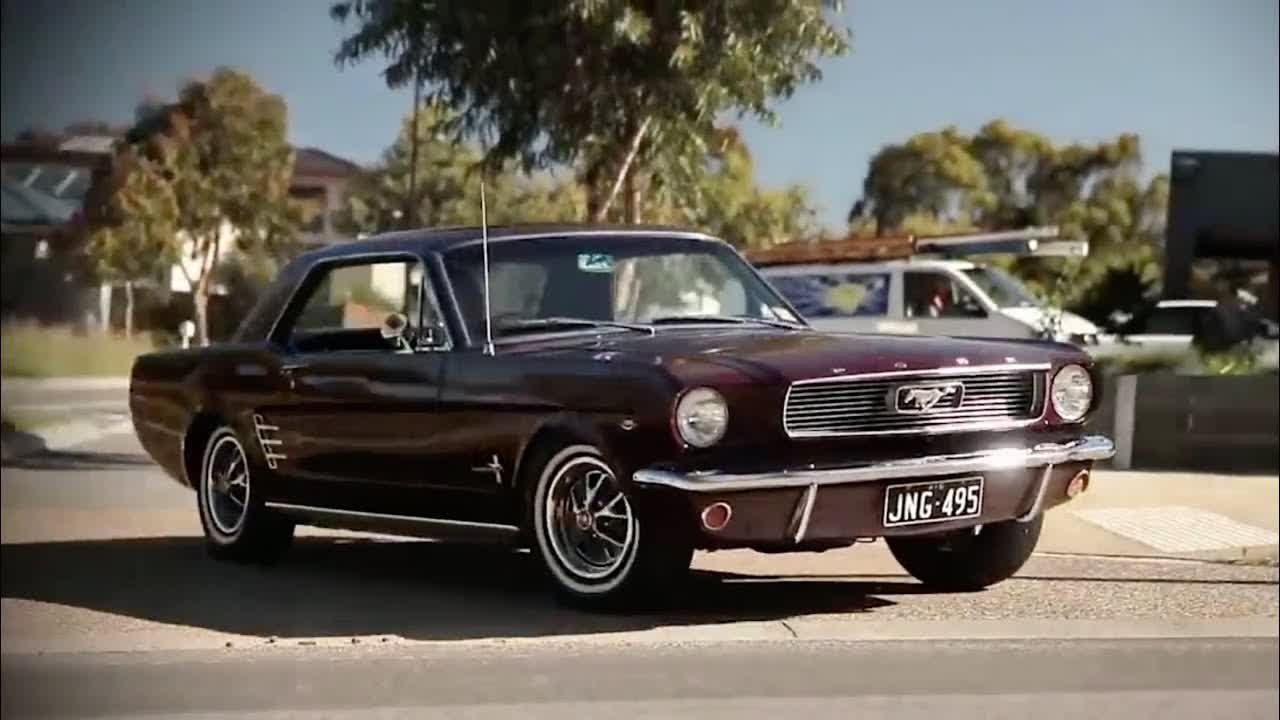 Shannons Club TV - Épisode 13