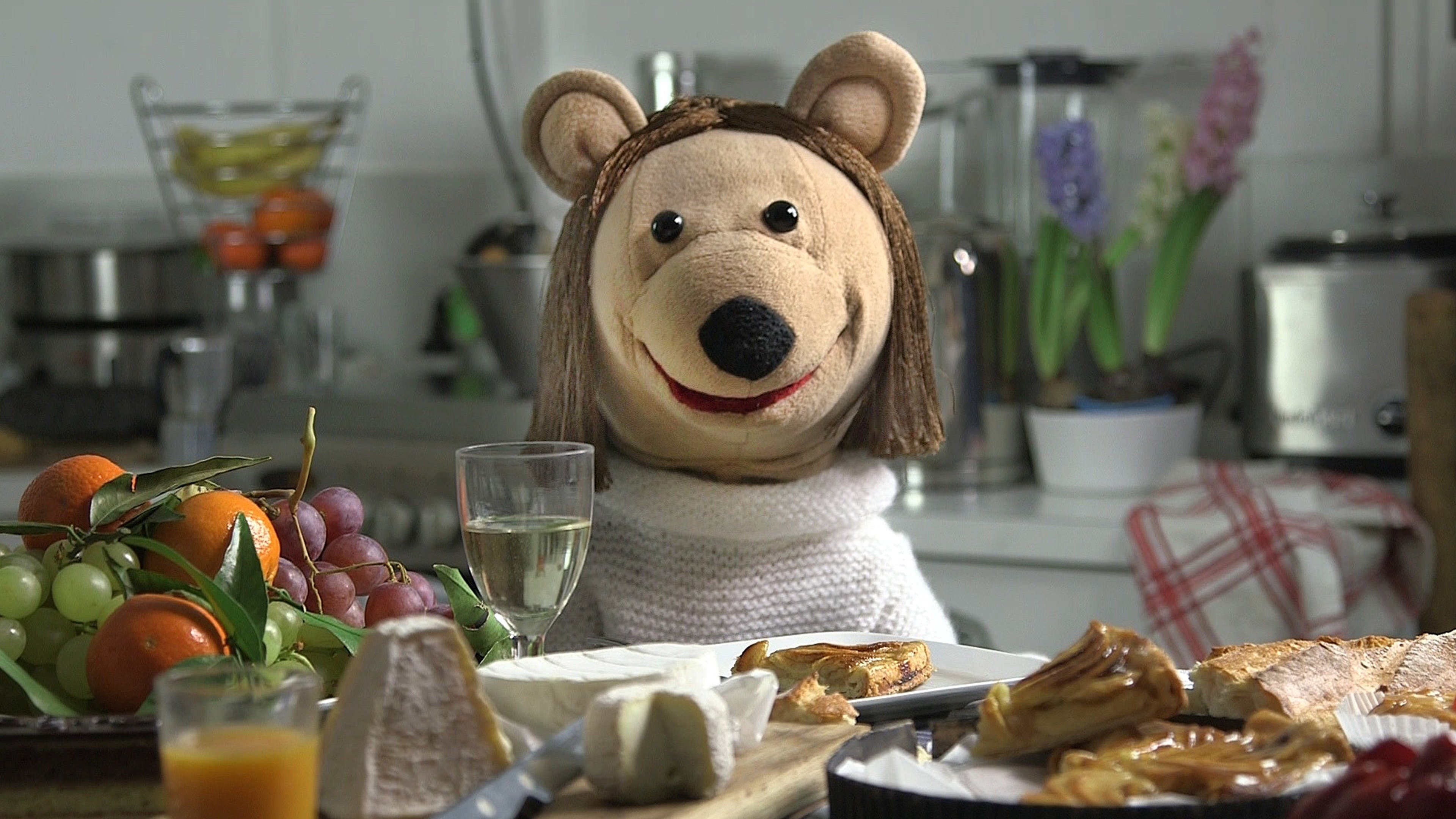 The Sociologist and the Bear Cub (2016)