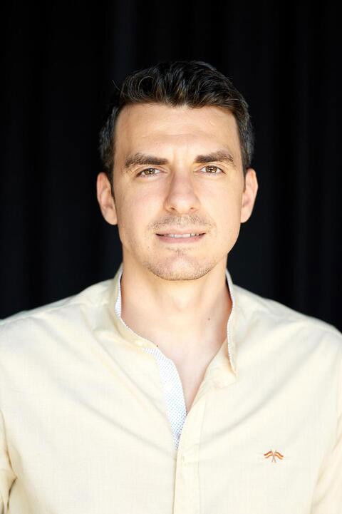 et billede af Alexandru Ion