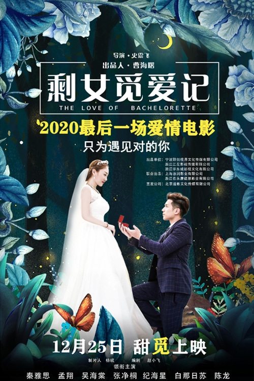 剩女觅爱记 剩女觅爱记