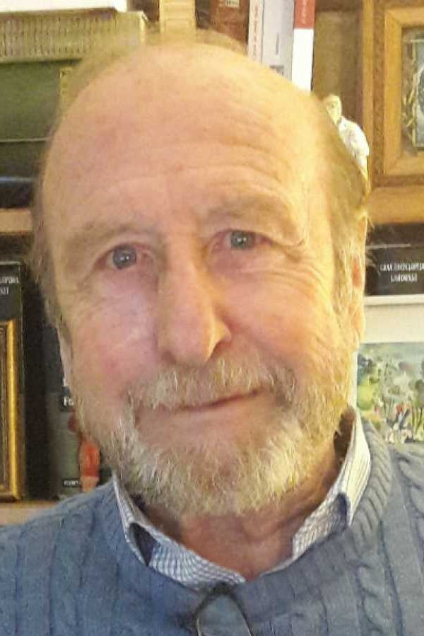 et billede af Guillermo Summers