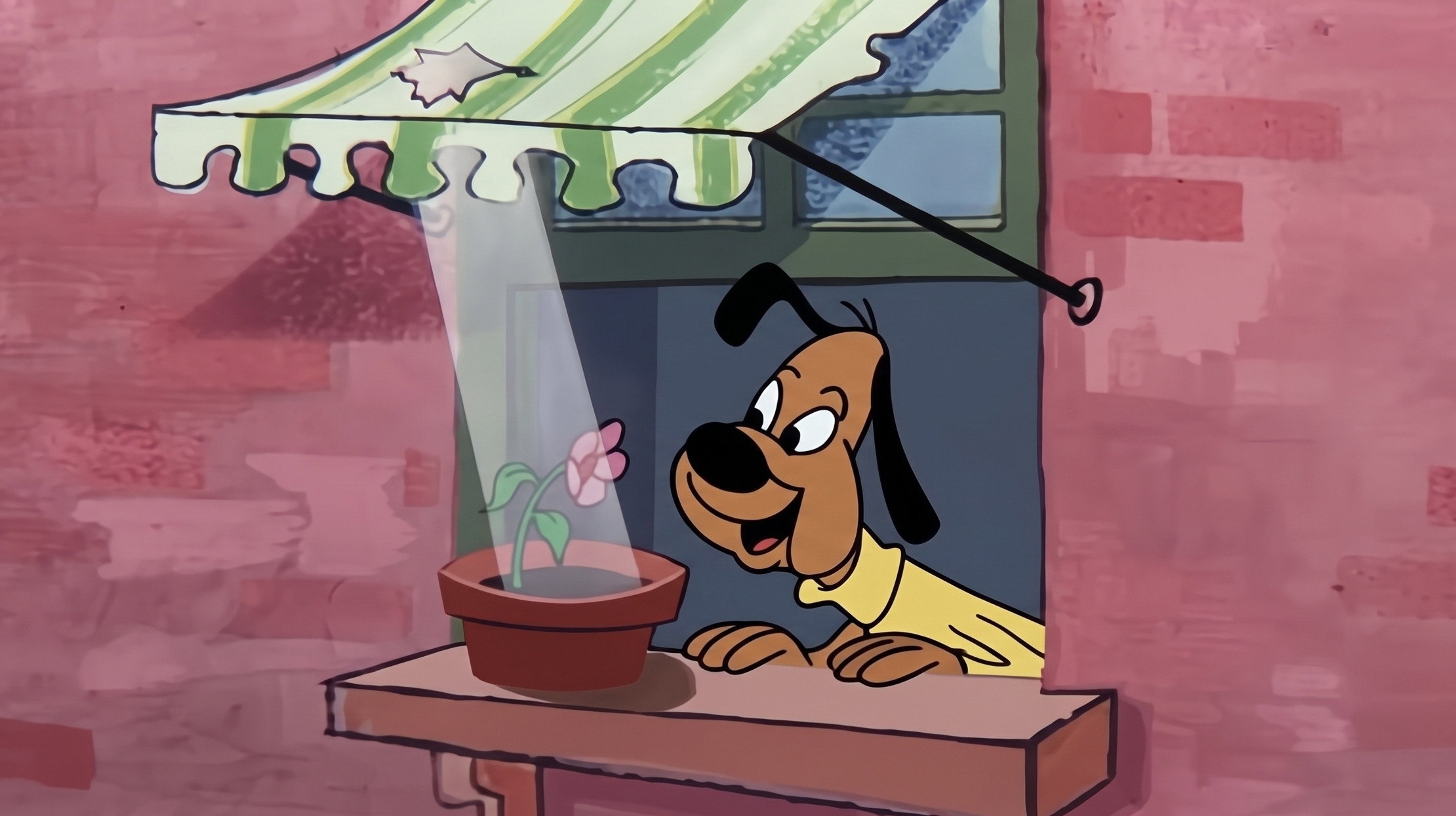 The Leaky Faucet (1959)