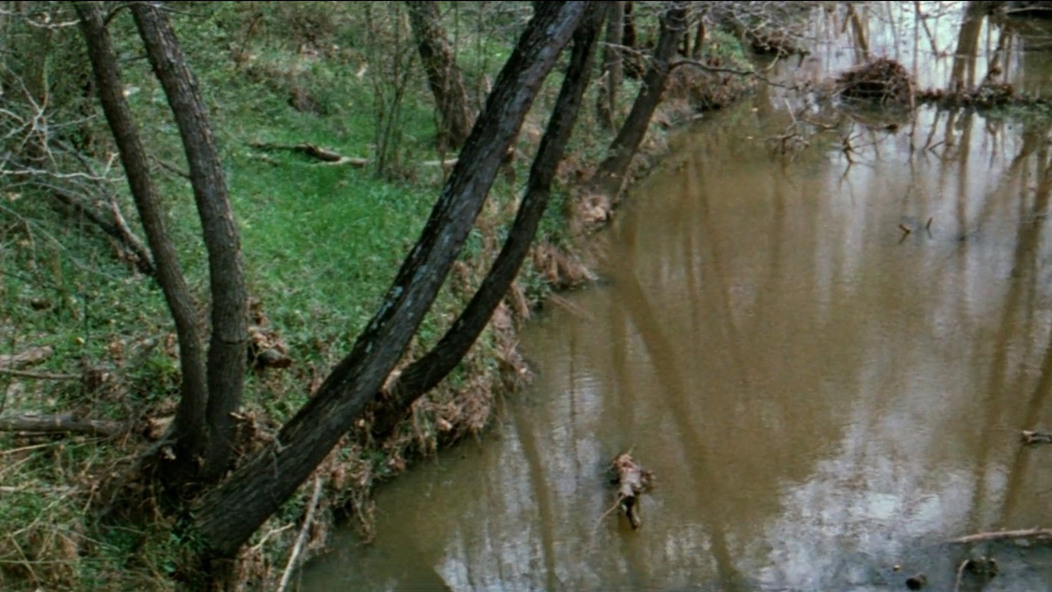 The Legend of Boggy Creek