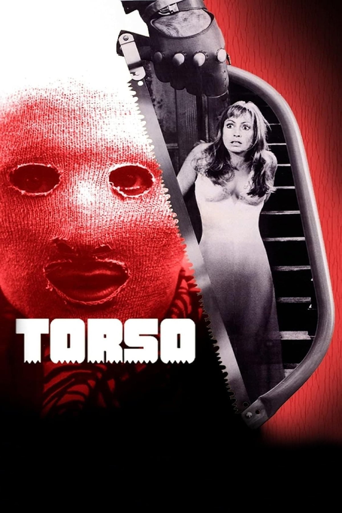 Torso