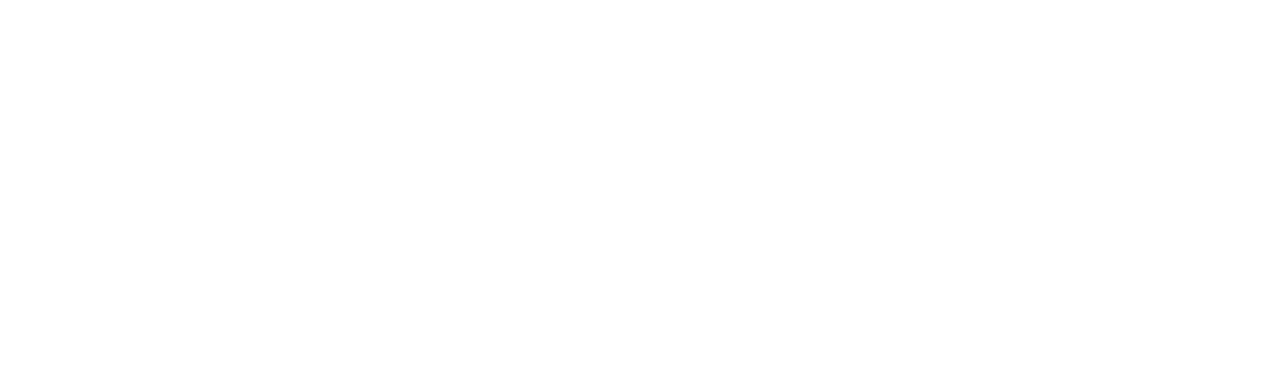 Allegiance Logo