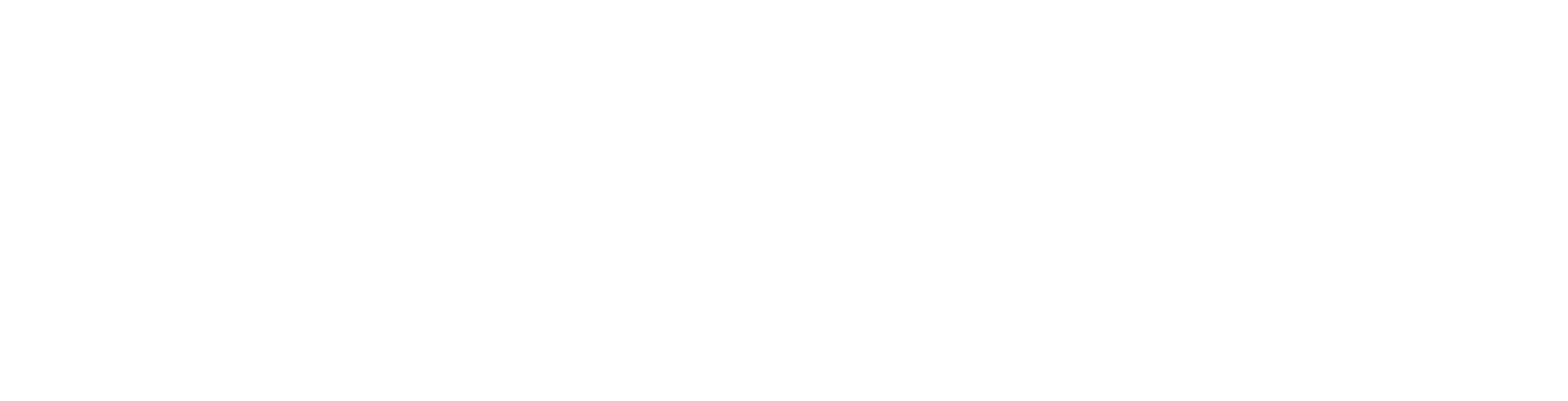 Senna Logo