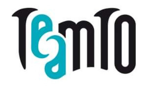 Logo de la société TeamTO 15674