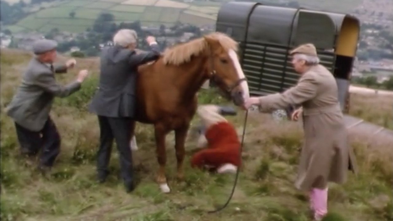 Last of the Summer Wine