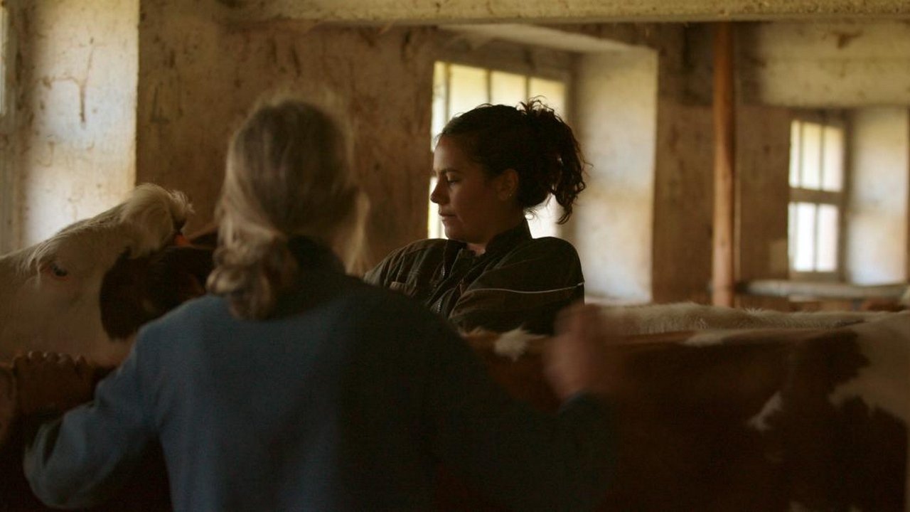 Imagem do Filme Kelly et les bergères