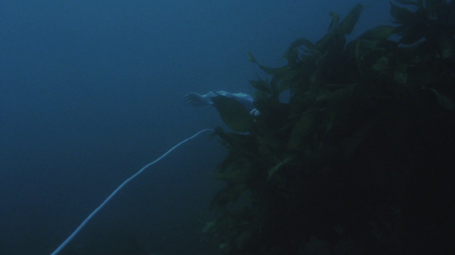 Mermaid Legend (1984)
