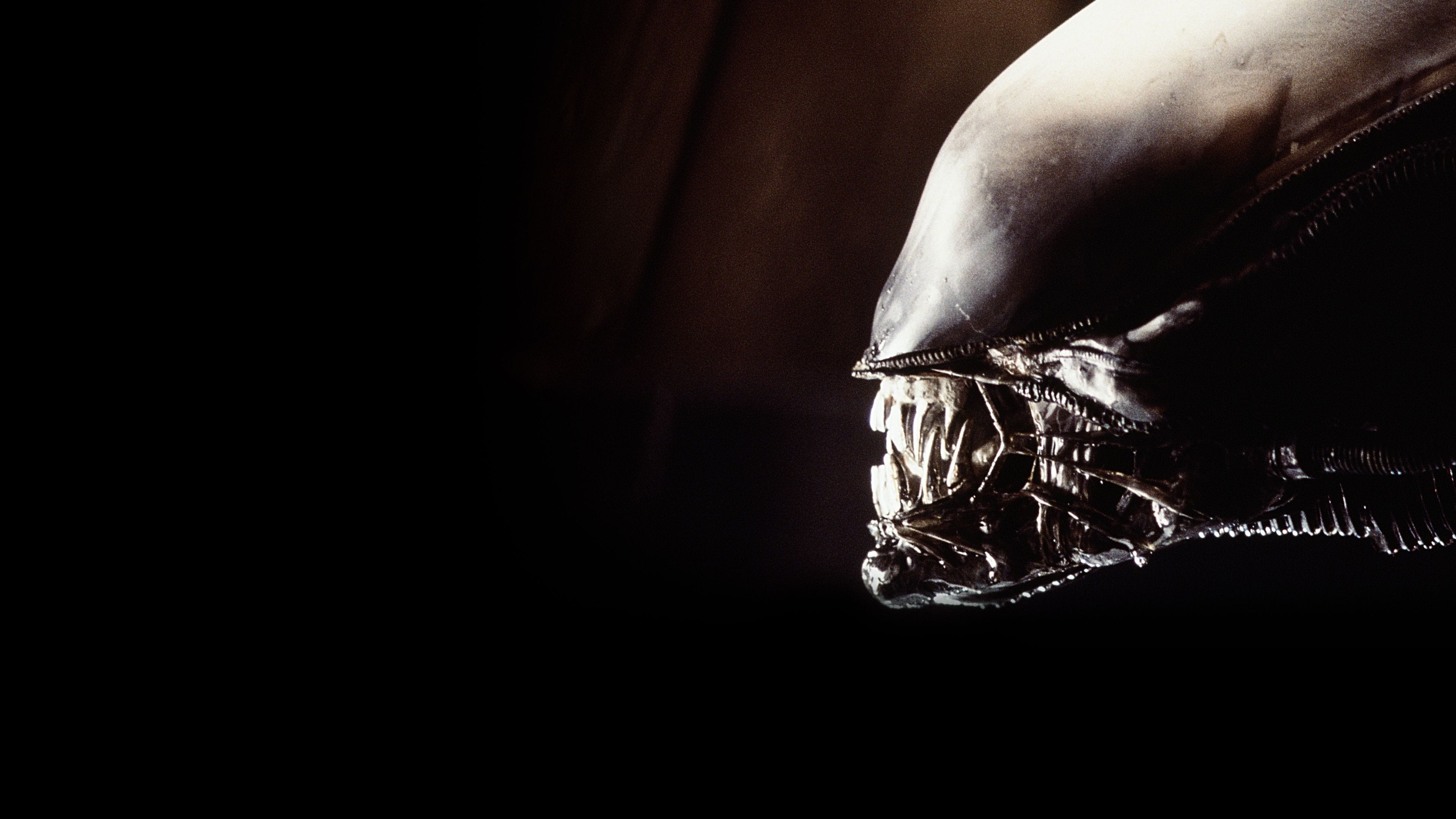 Image du film Aliens, le retour dx7ckqcacczqrhcgub12texhhpwjpg
