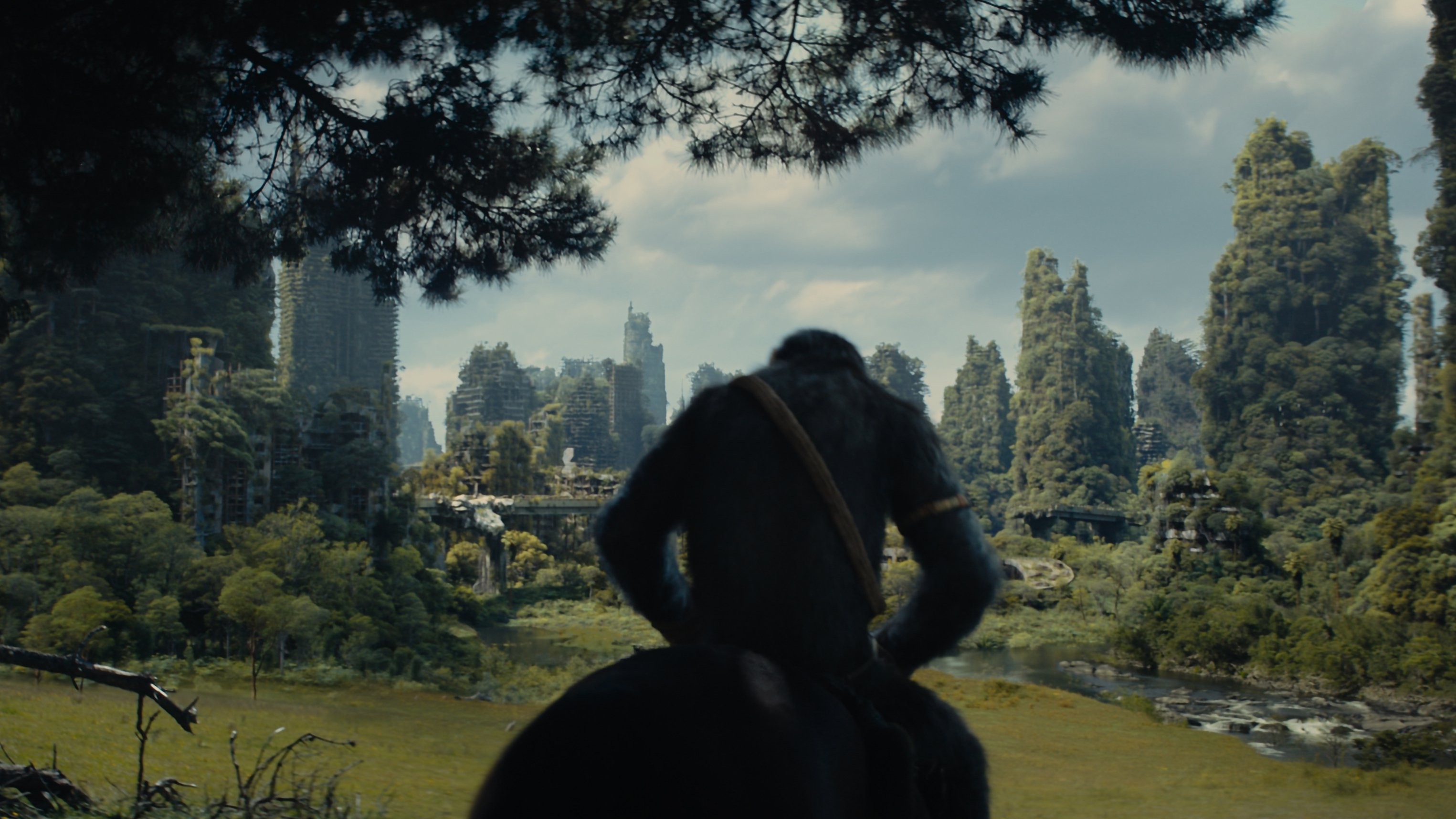 Watch Planet Of The Apes 2025 Free Online