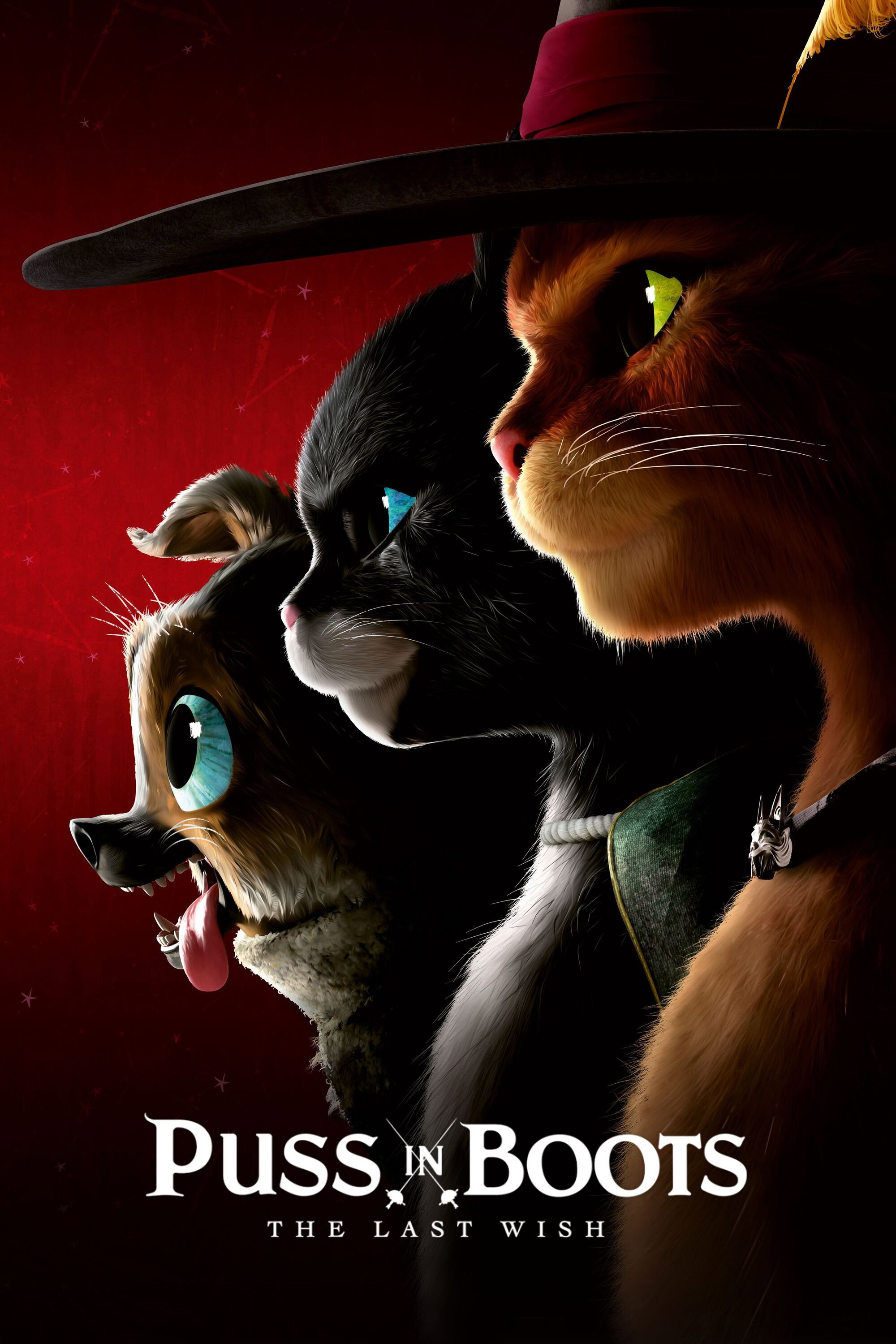 Puss In Boots The Last Wish 2022 Posters The Movie Database TMDB Puss In Boots The Last Wish 2022 Posters The Movie Database TMDB