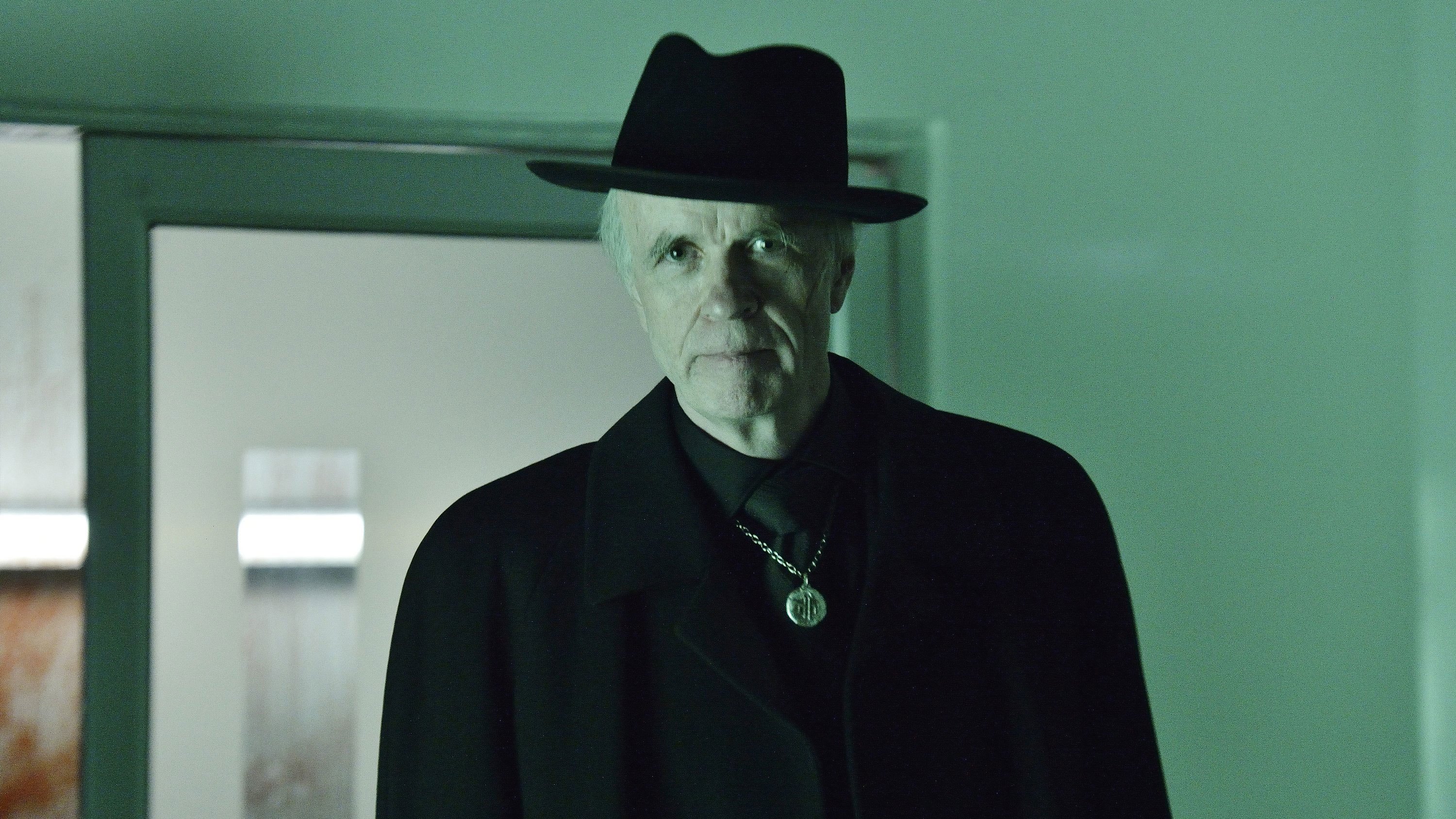 12 Monkeys