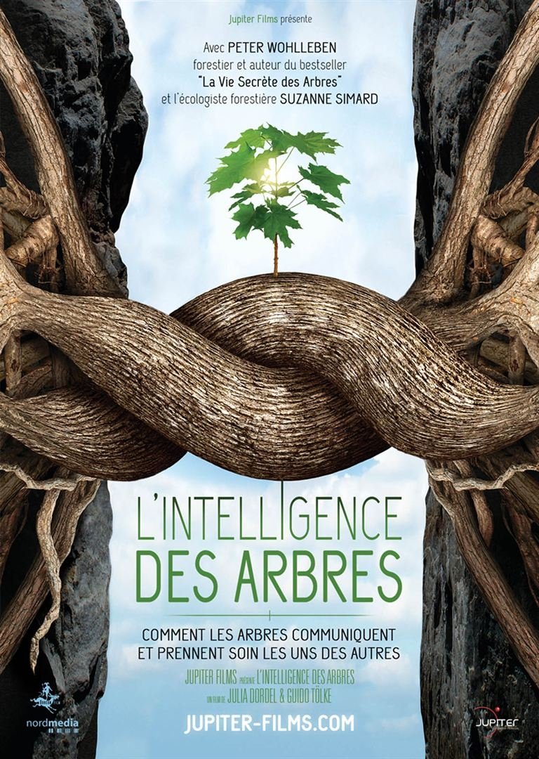 L'intelligence des Arbres L'intelligence des Arbres