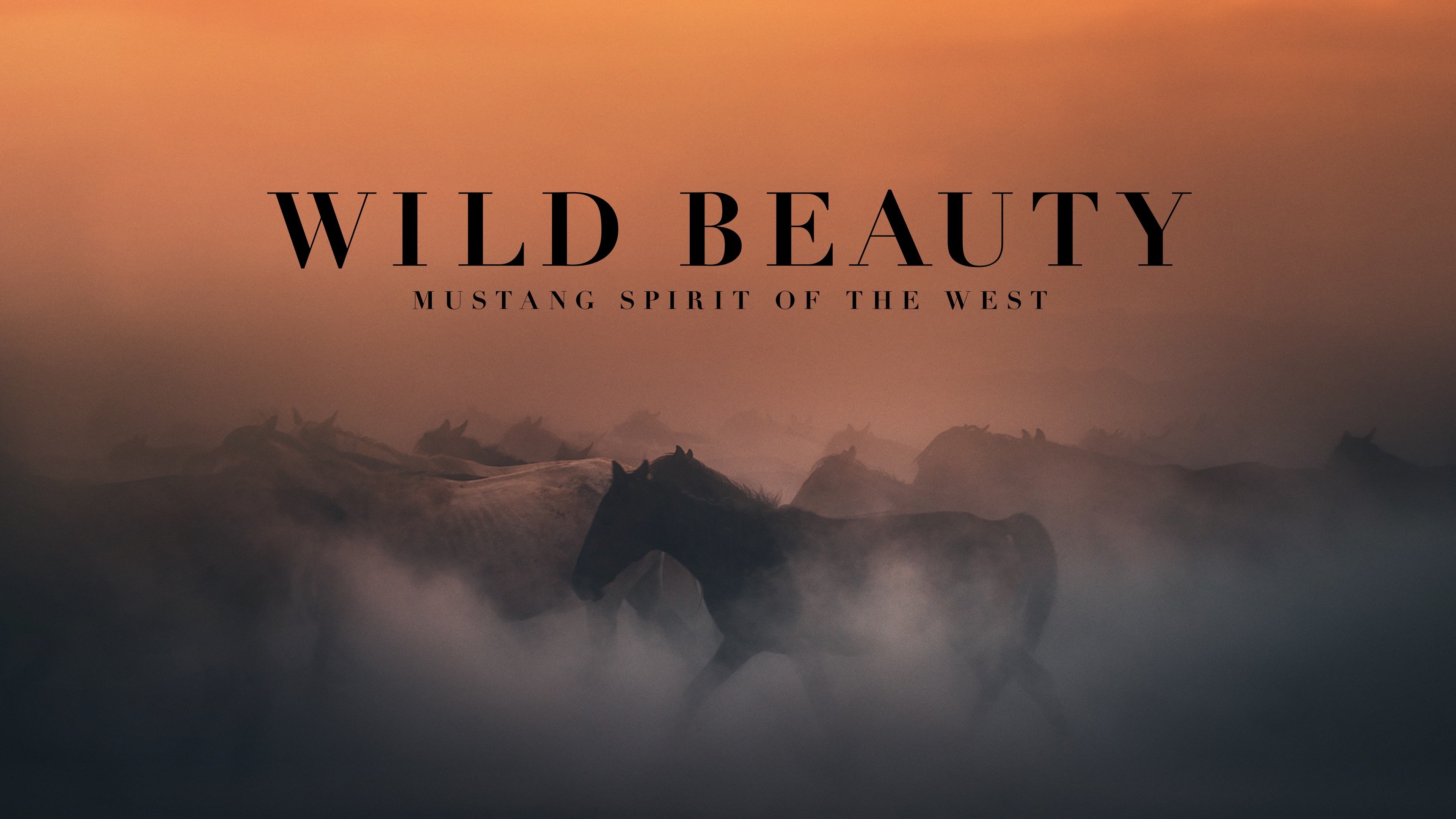 Wild Beauty: Mustang Spirit of the West