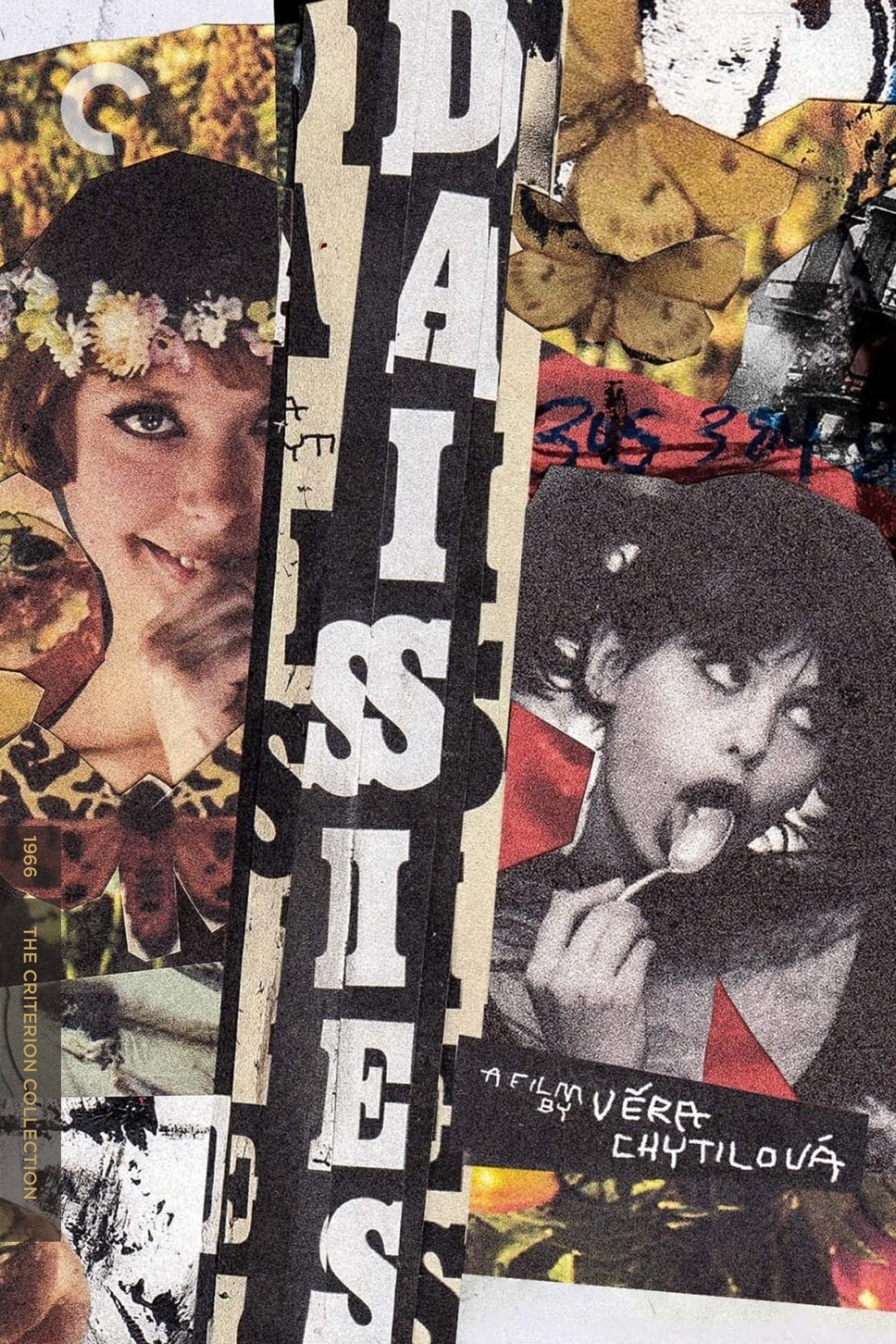 Daisies