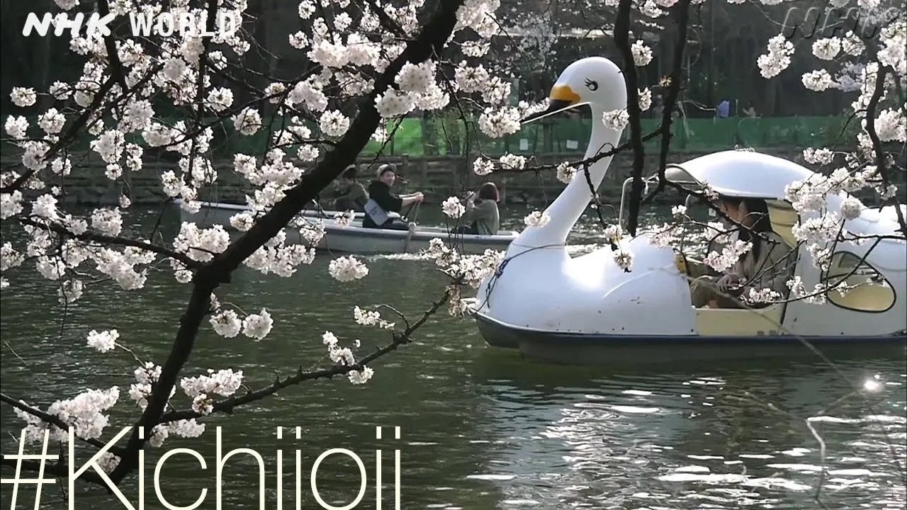 Thumbnail for Swan Lake [#Kichijoji] Season 0 Episode 40
