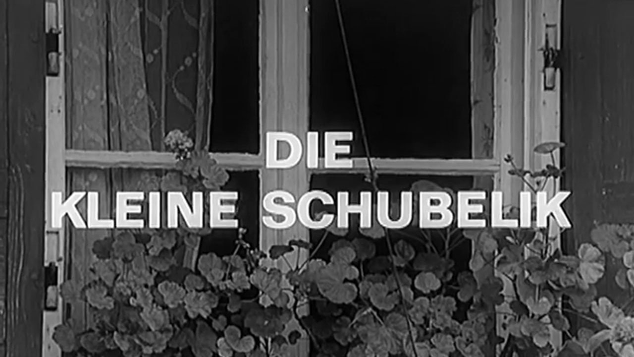 Der Kommissar