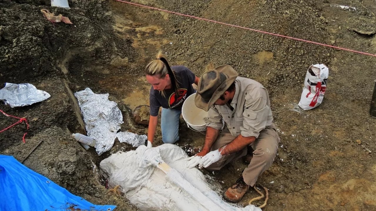 Le jour où les mammifères ont détrôné les dinosaures (2019)