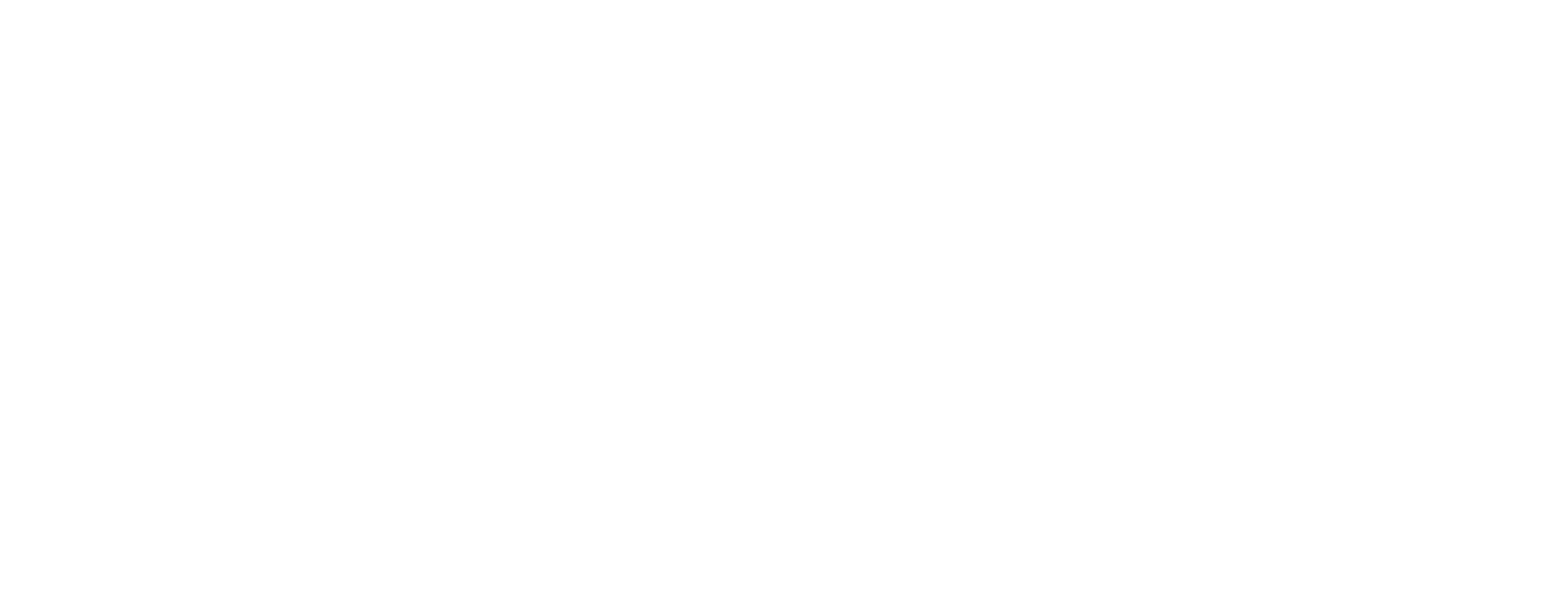 Bargain Logo