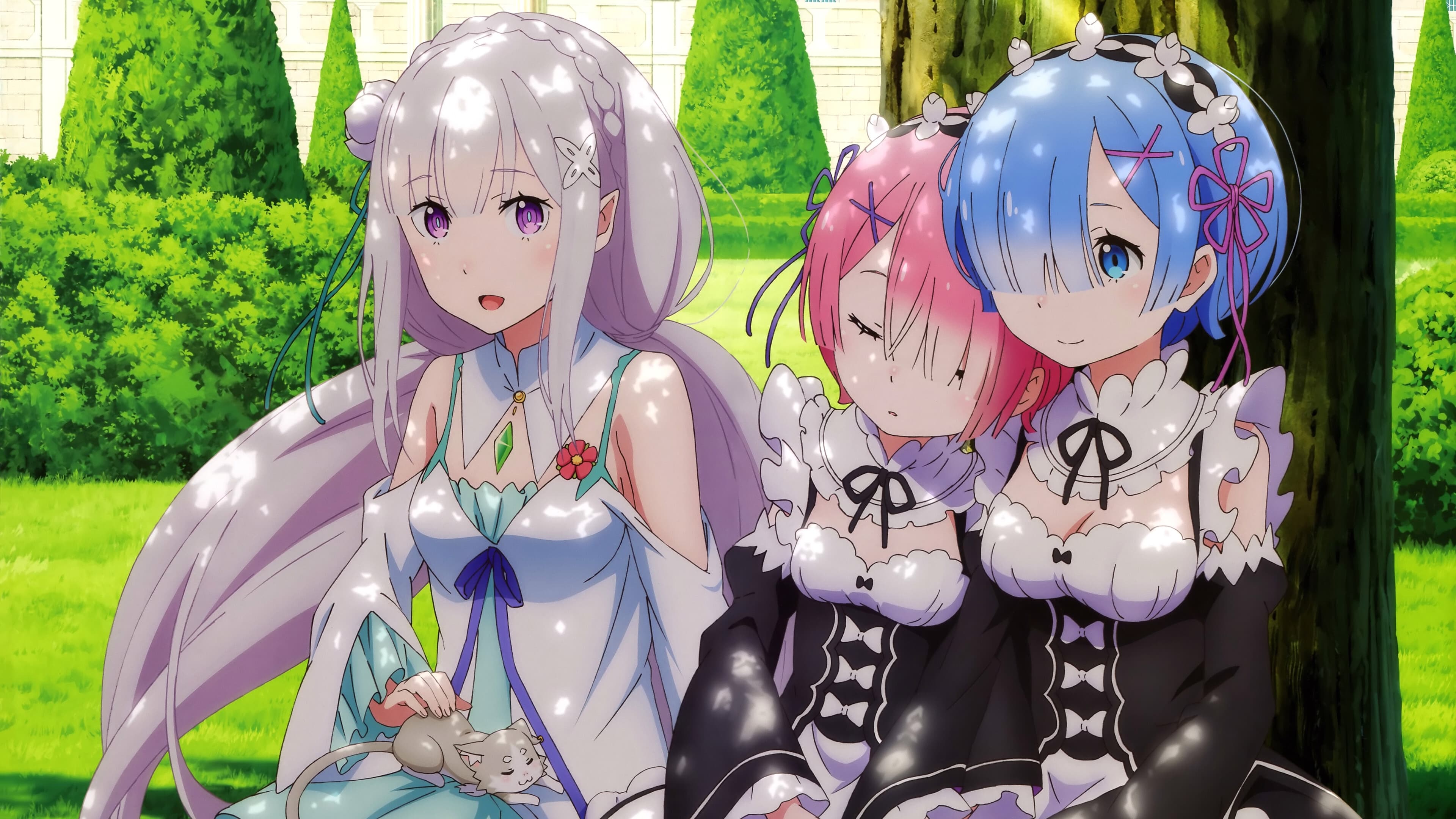 Re:ZERO Starting Life in Another World Director’s Cut