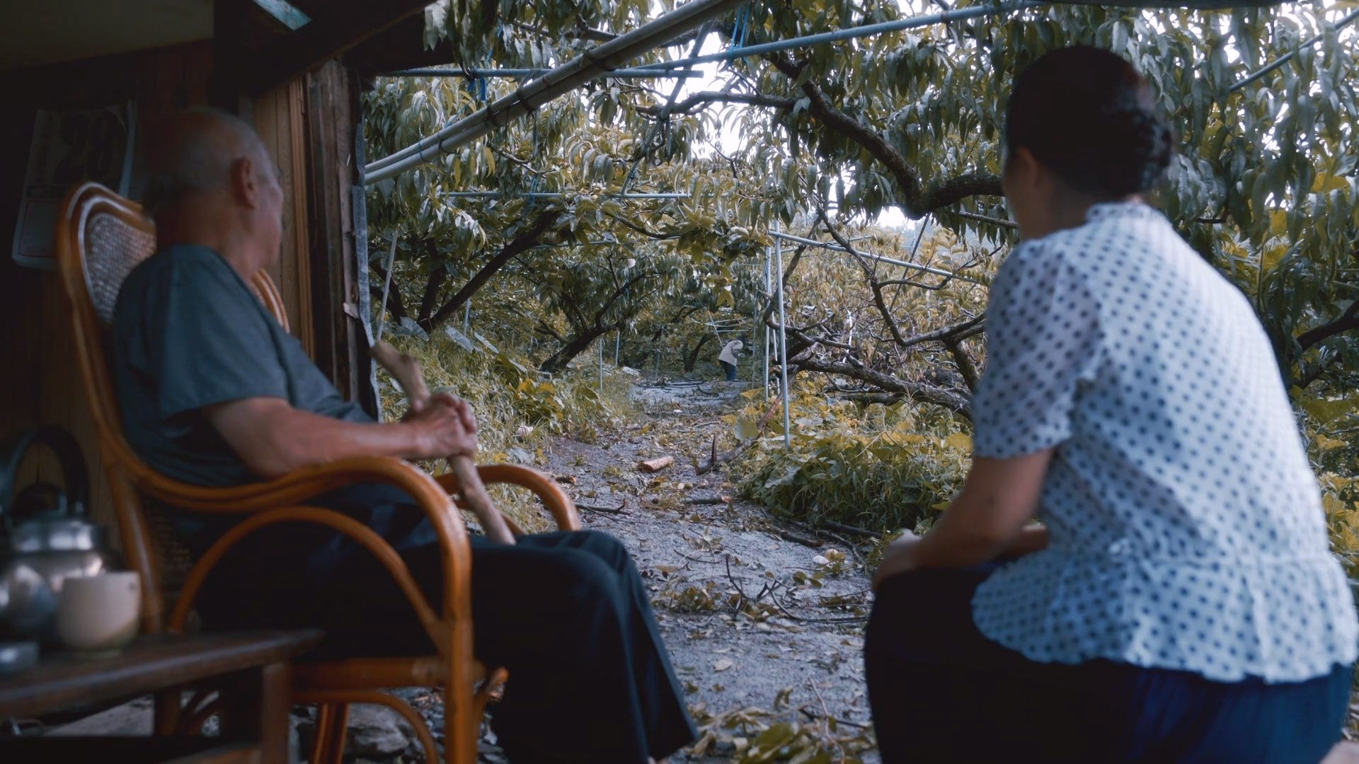 Echo (2022)