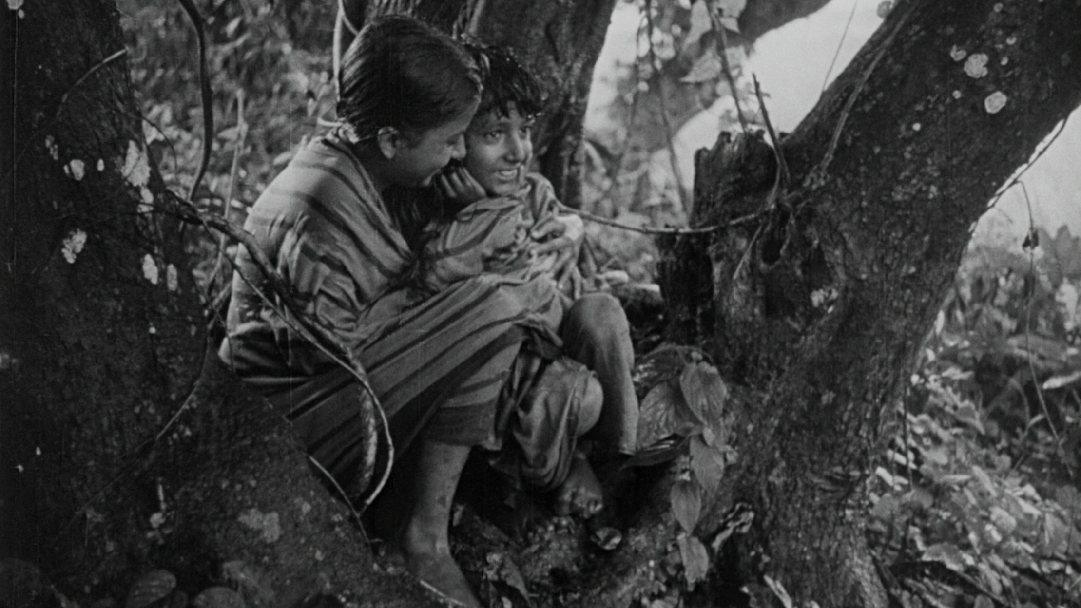 পথের পাঁচালী (1955)