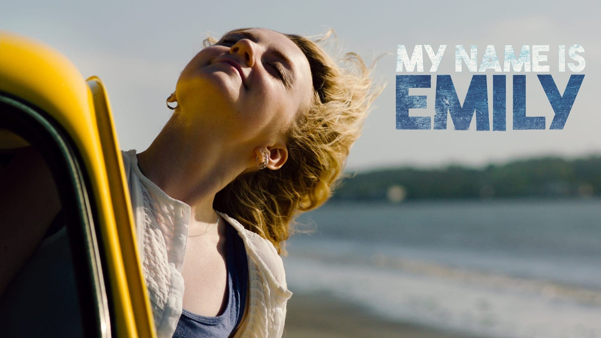 My Name Is Emily (2016)