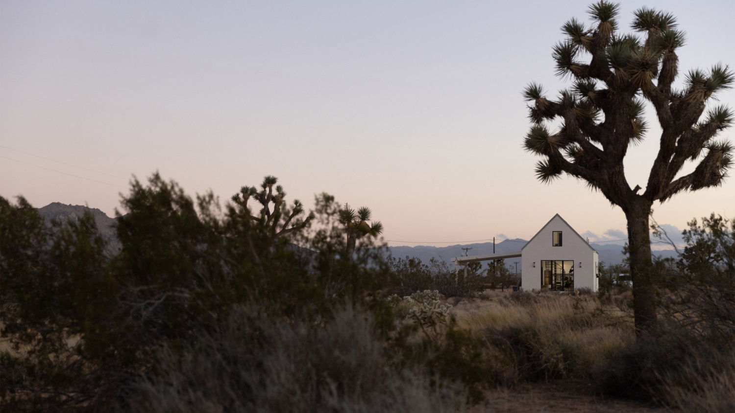 The Cabin Chronicles S03E05 backdrop