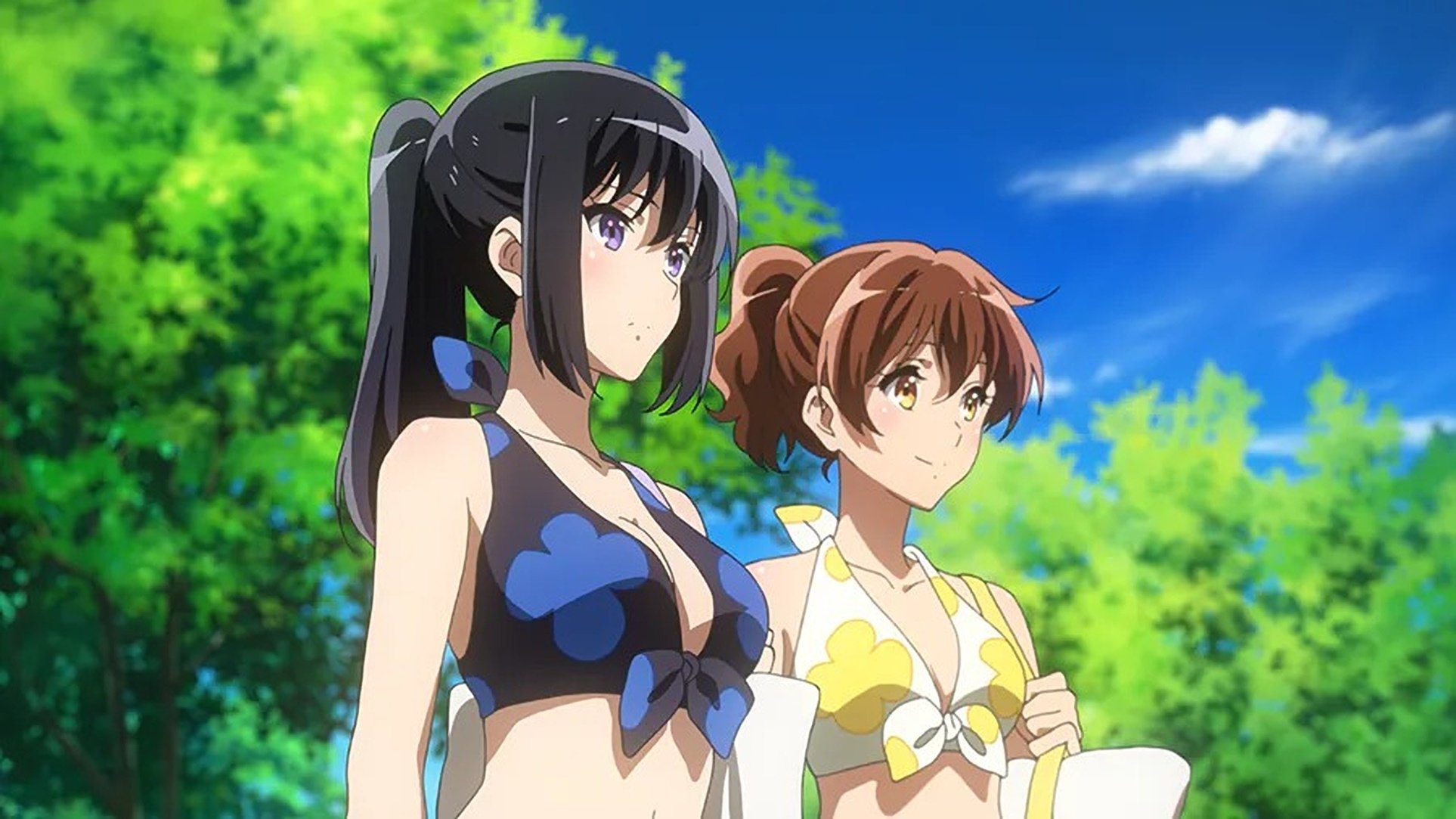 Sound! Euphonium