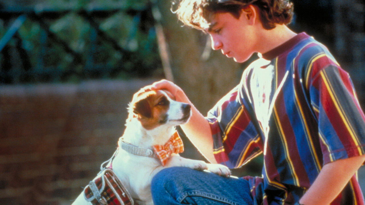Paws (1997)