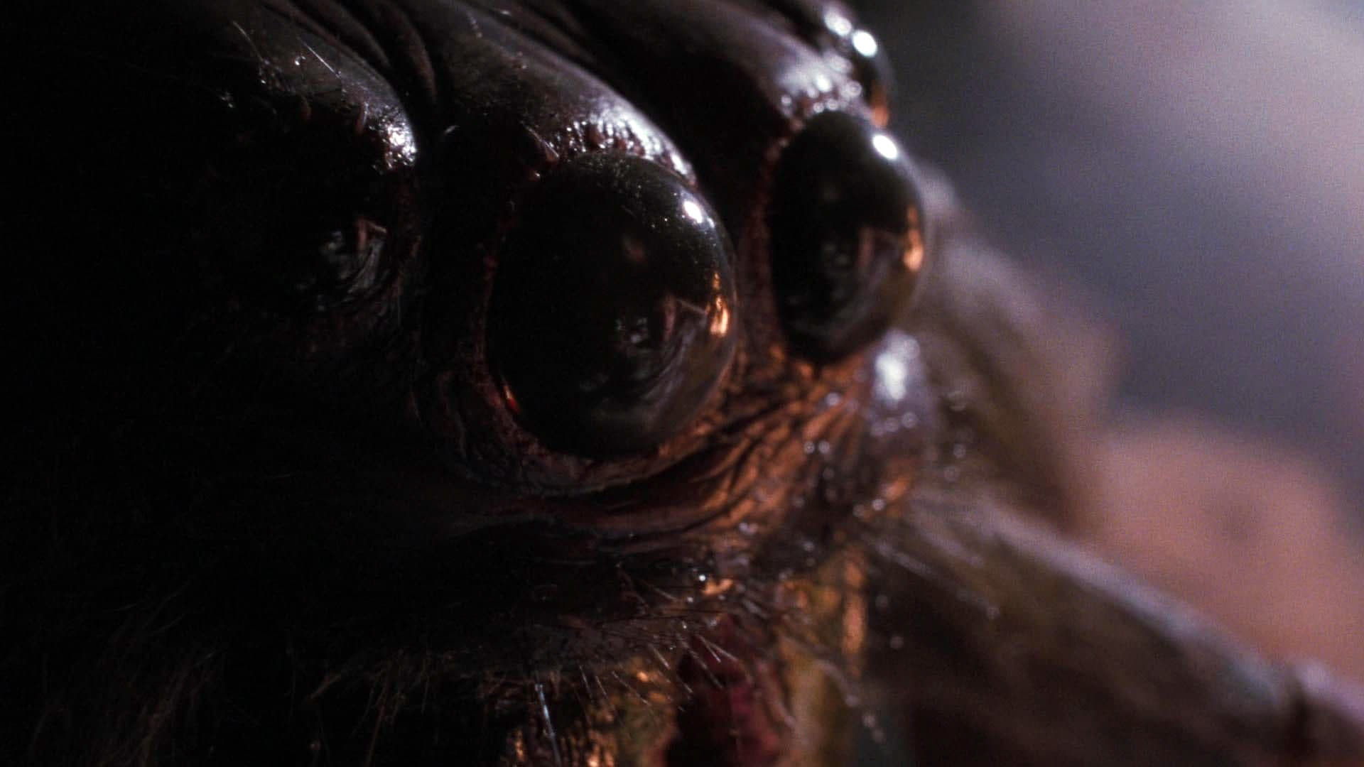 Arachnophobia (1990)