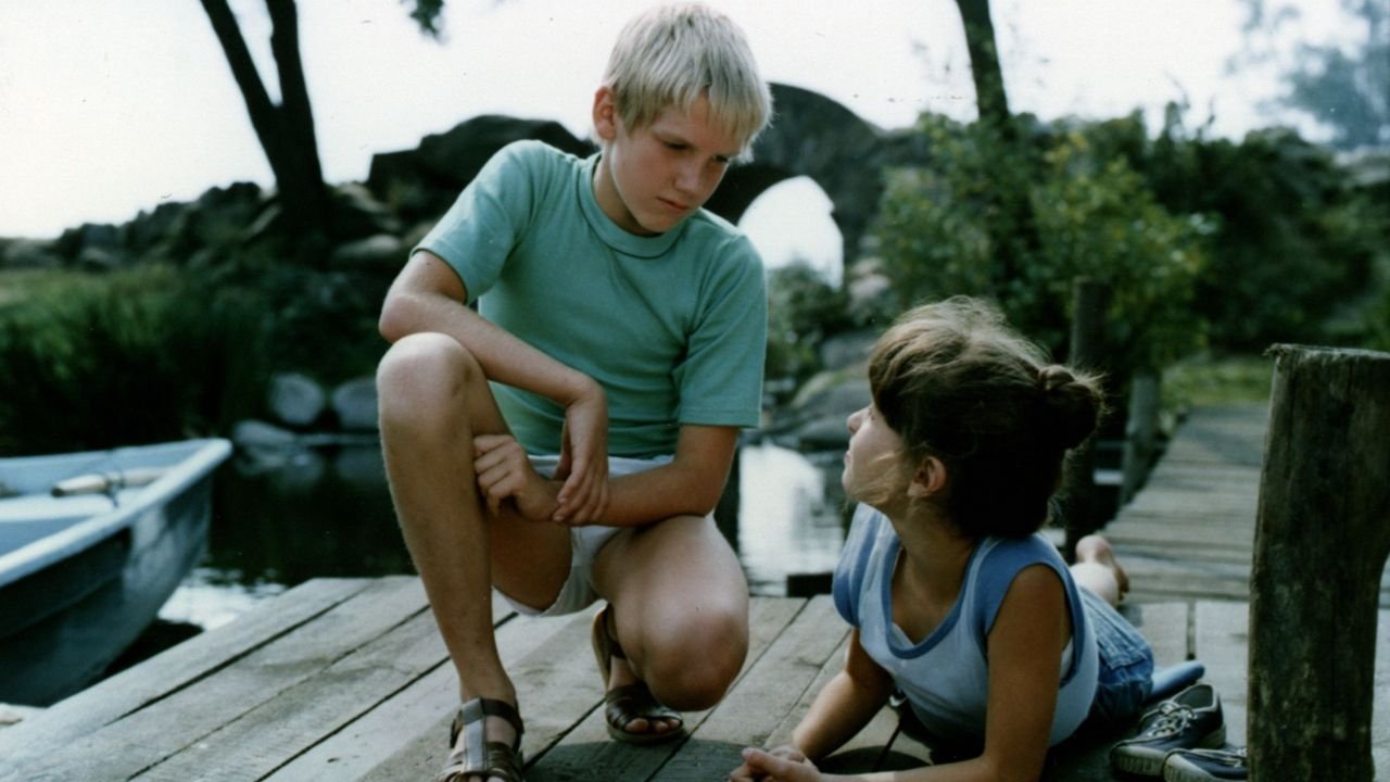 I Thought You Liked Me (1987)