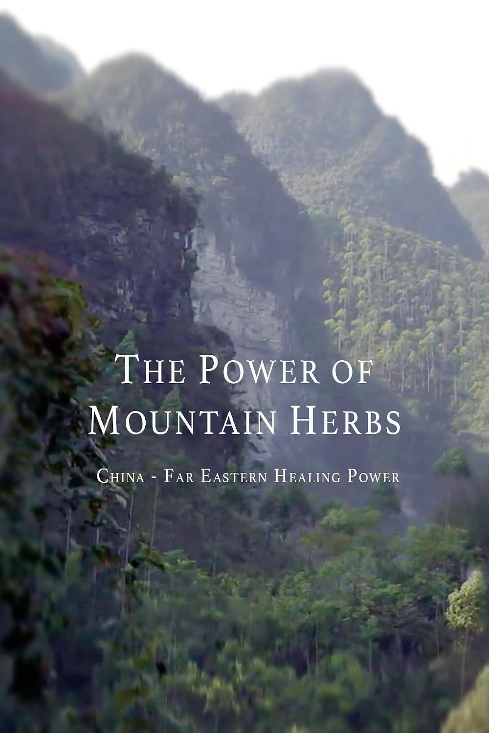 The Power Of Mountain Herbs Poster