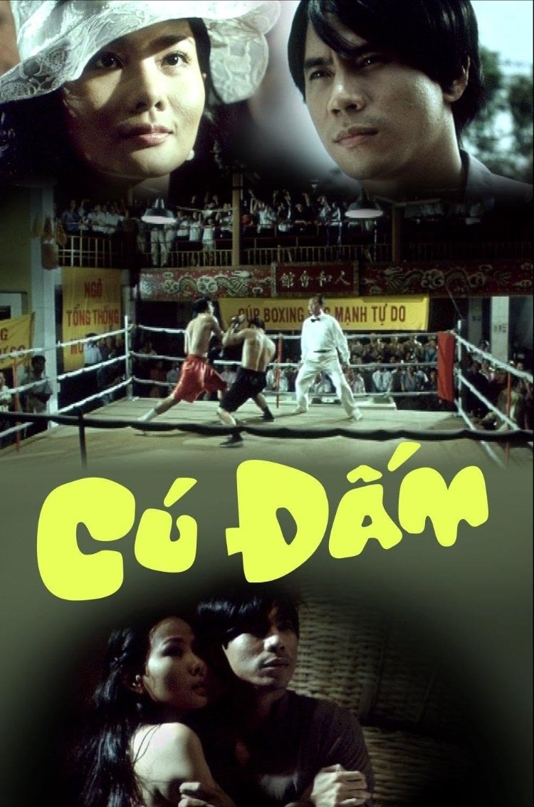 Content cover