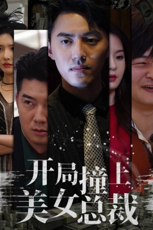 poster tv 开局撞上美女总裁