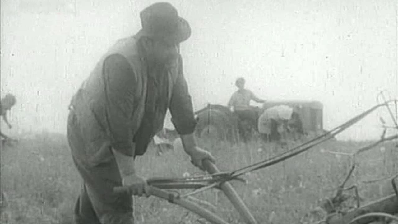 Boundary (1973)