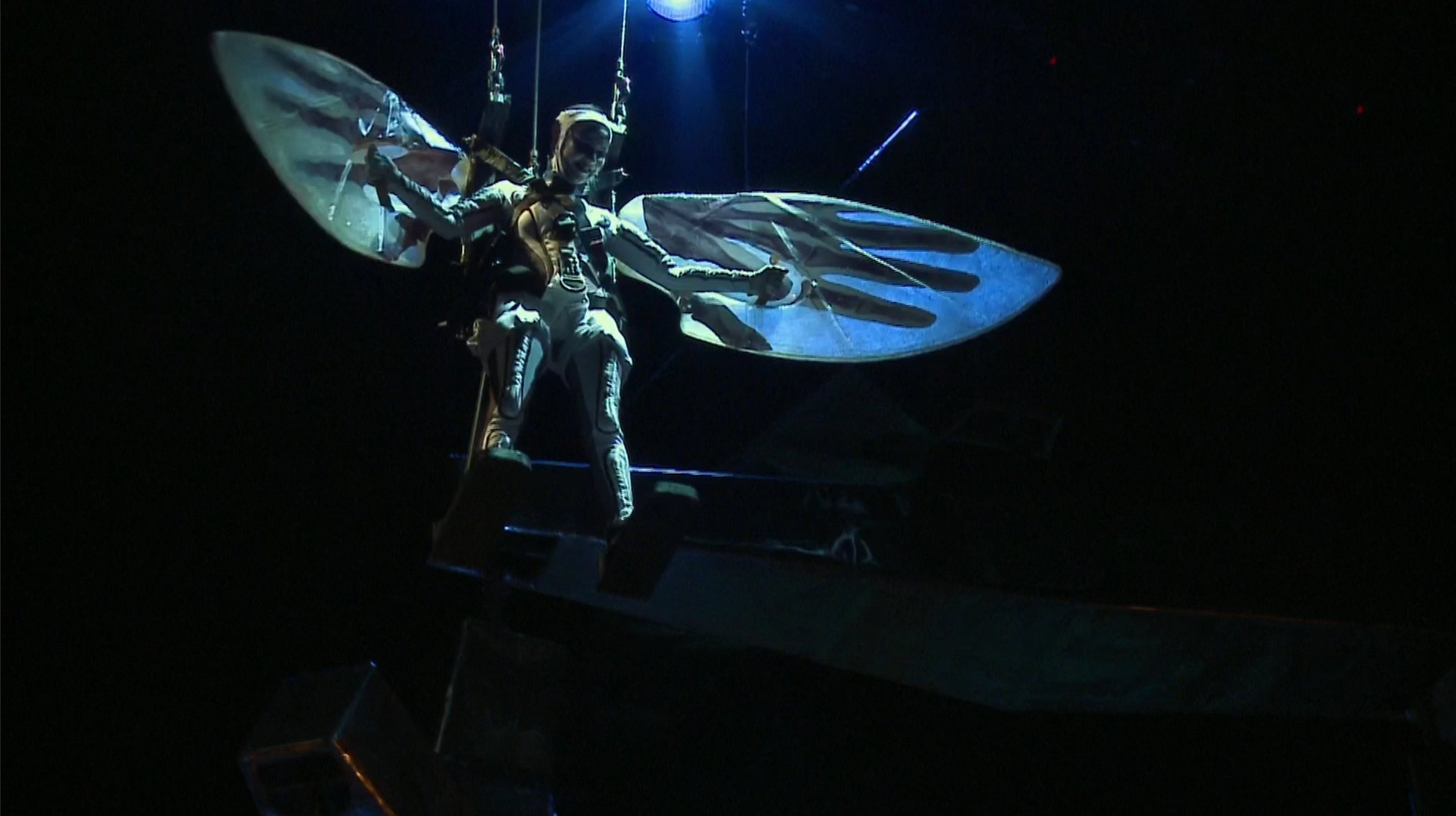 Wagner: Siegfried (2010)