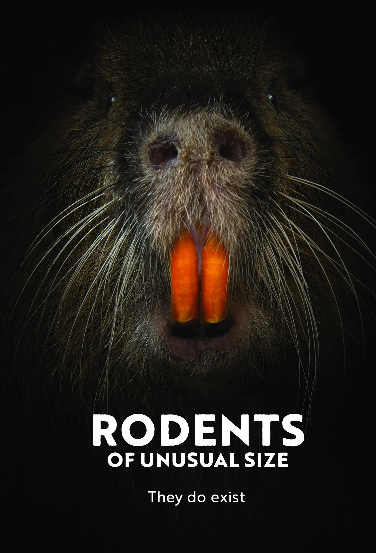 Rodents of Unusual Size