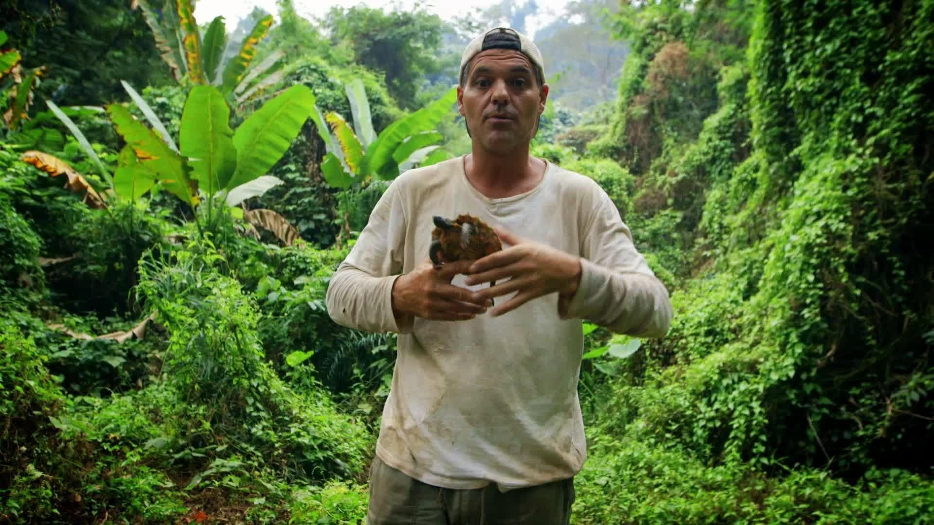 Wild Frank