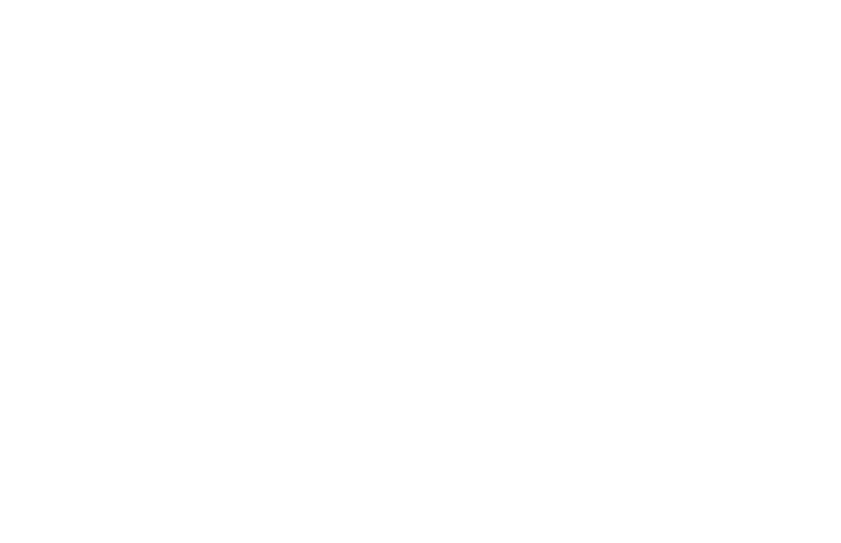 Desert Flippers Logo